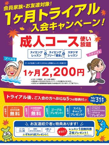 成人トライアル